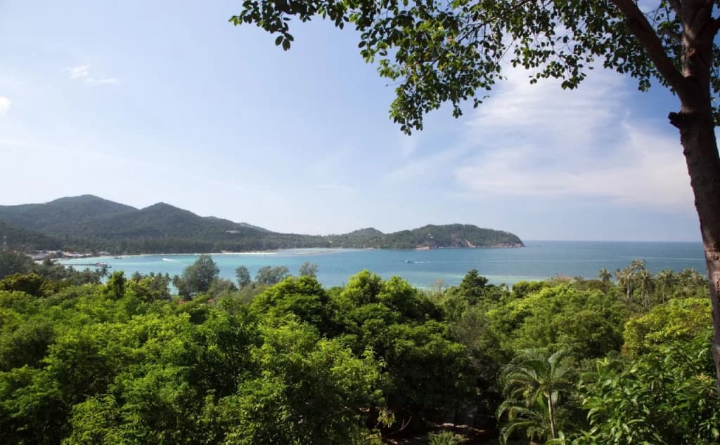 The Four Resort - photo 20