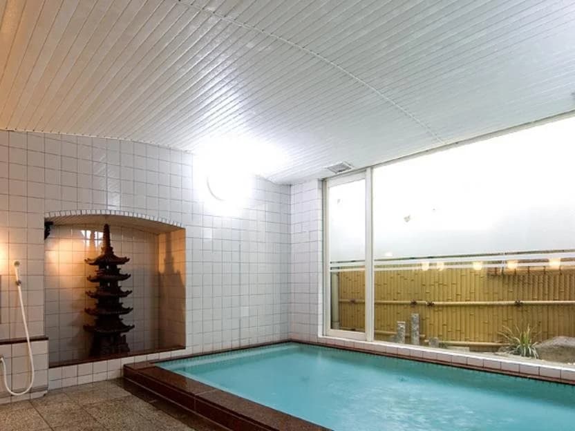 New Ginkaku Inn - photo 11