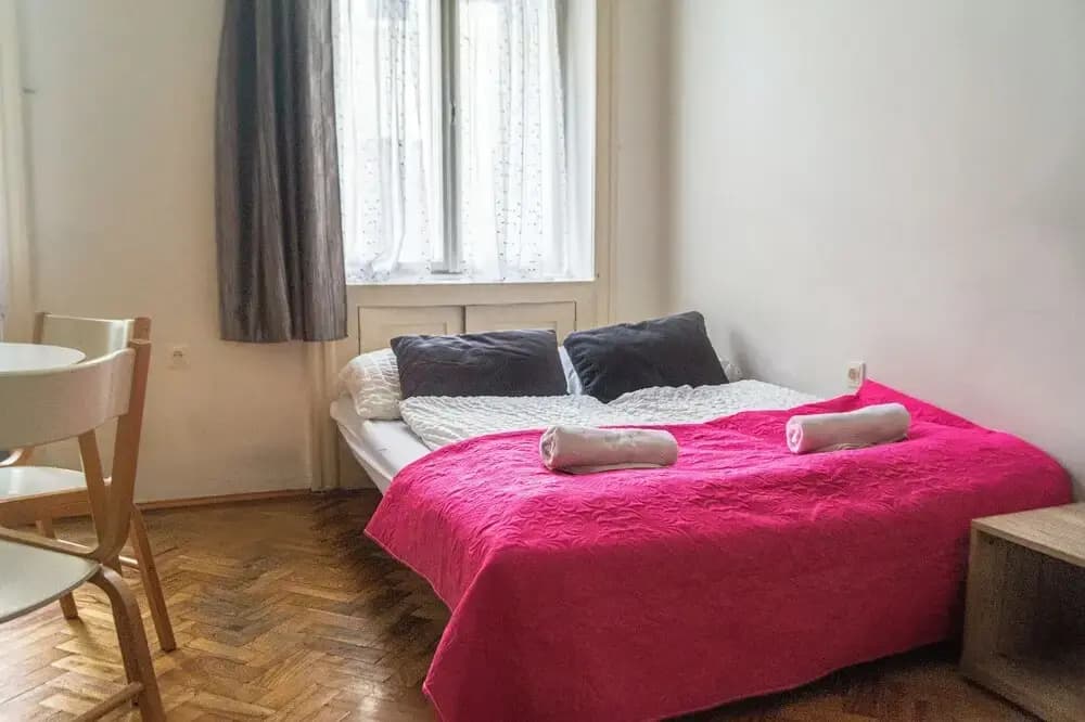 Budget 1BR Apt Sleeps 5 Belvedere - photo 5