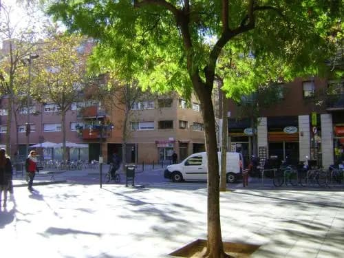 Apartment Guell - photo 16
