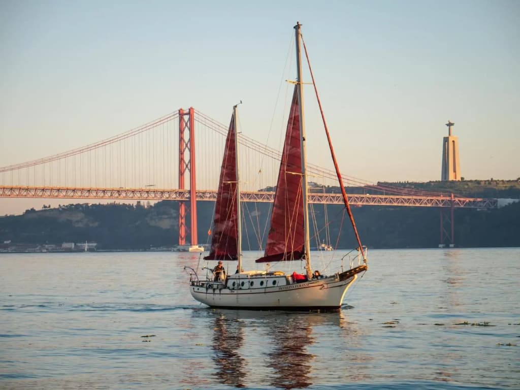 SMY Lisboa - photo 8