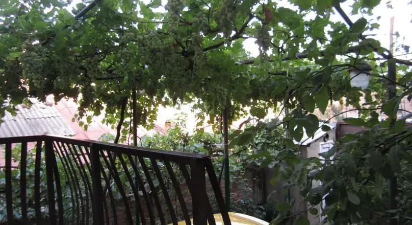 hostel - photo 3