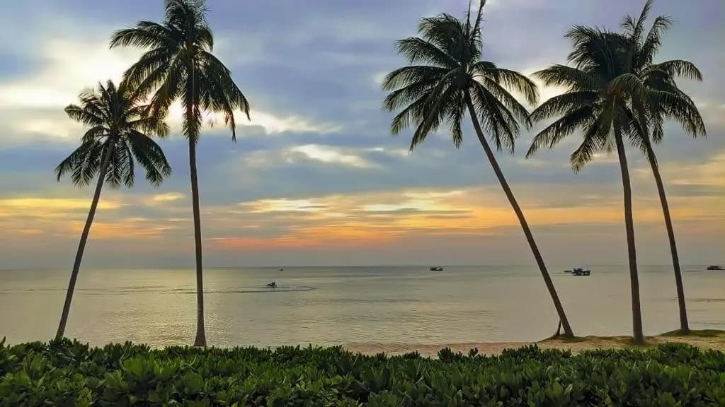 Anna Beach Phu Quoc - photo 11