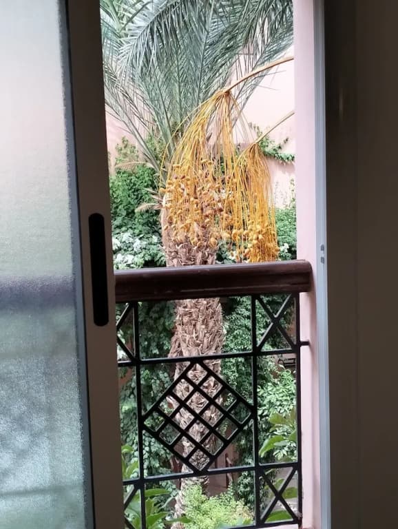 Riad Green Lotus - photo 7