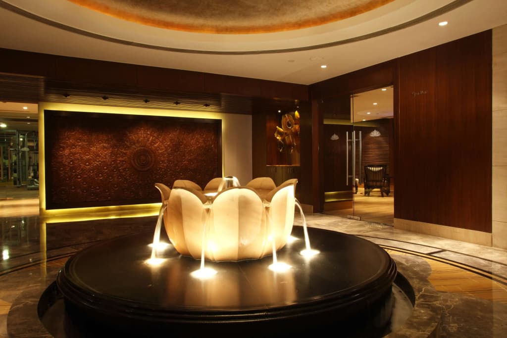 Radisson Blu Plaza Delhi Airport - photo 2