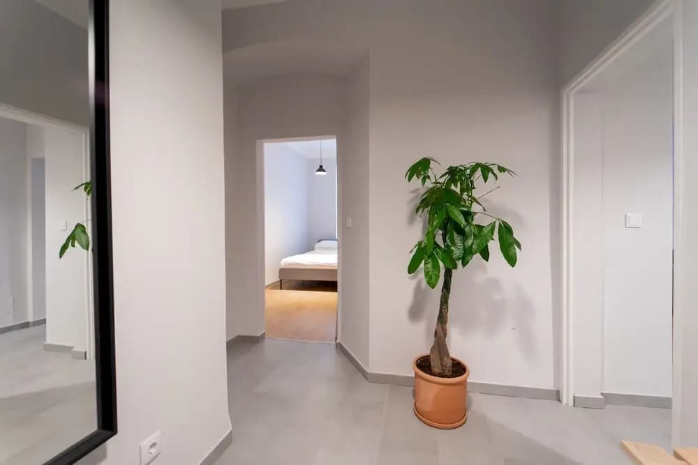 Spacious 2bdr Apt in Beautiful Neighborhood - photo 7