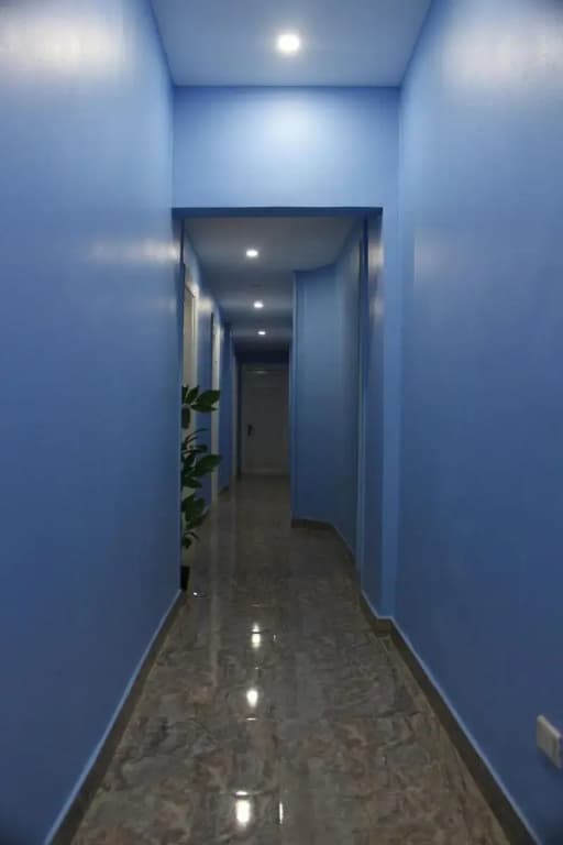 Abdeen Palace Hotel - photo 20