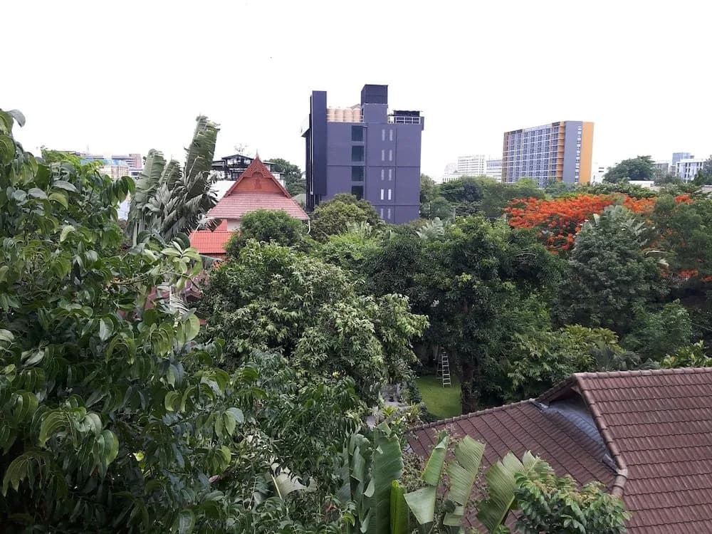 K Nimman - photo 17