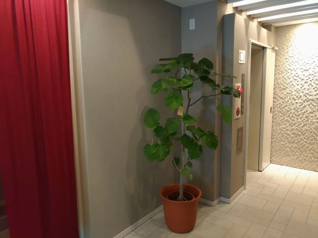 Hotel Axas Nihonbashi - photo 13