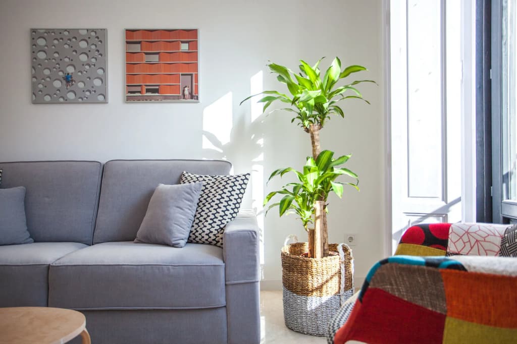 Minas Central Suites - photo 16