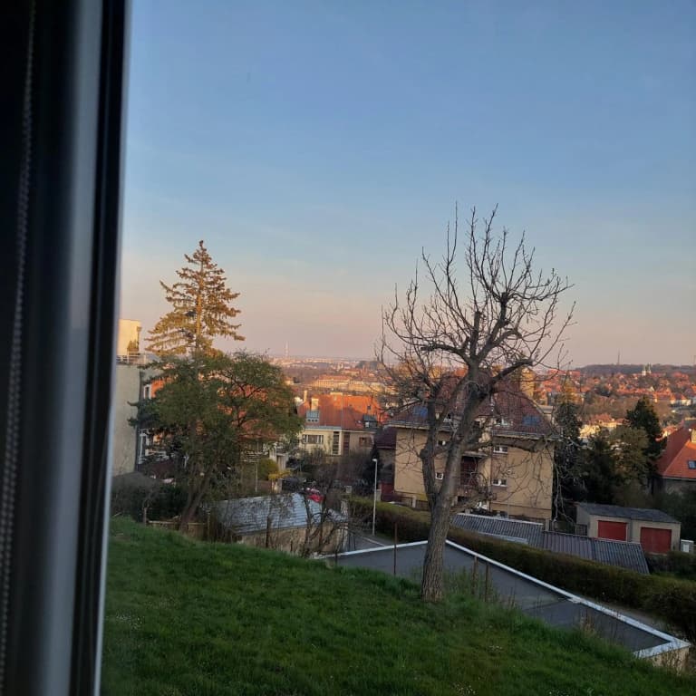 View of Prague - photo 9