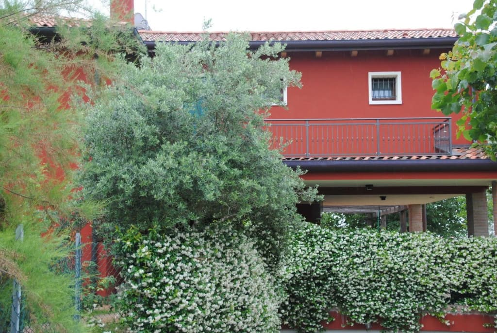 Casa Rosso Veneziano - main photo
