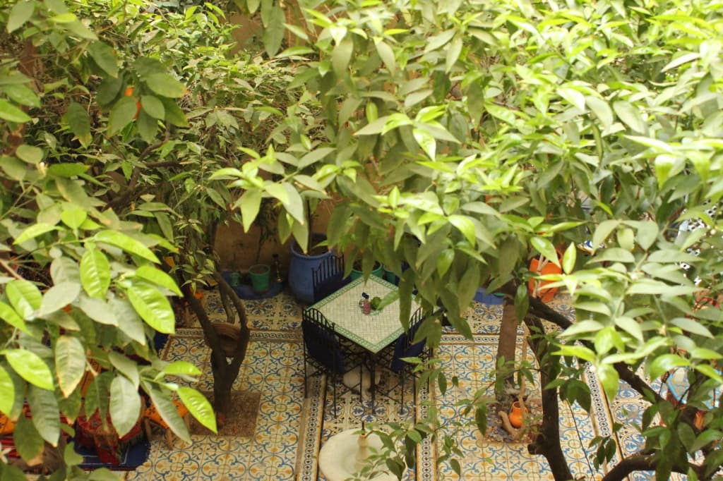 Riad Al Nour - photo 18
