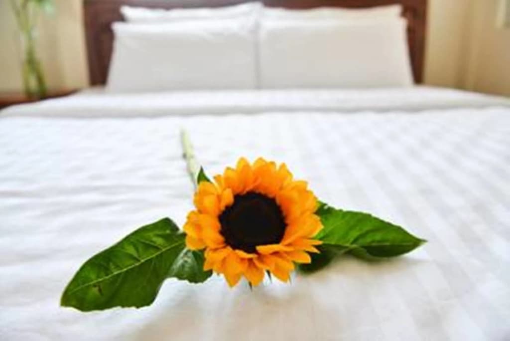 Vien Dong 2 Guesthouse - photo 6