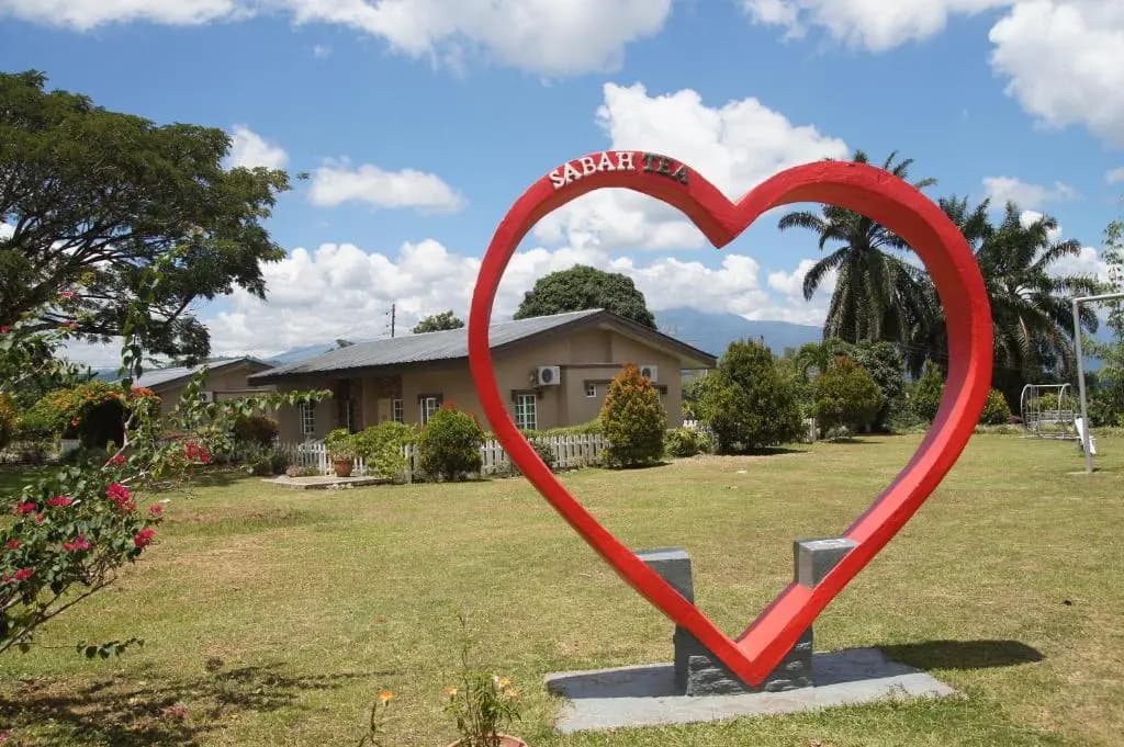Sabah Tea Garden - photo 8