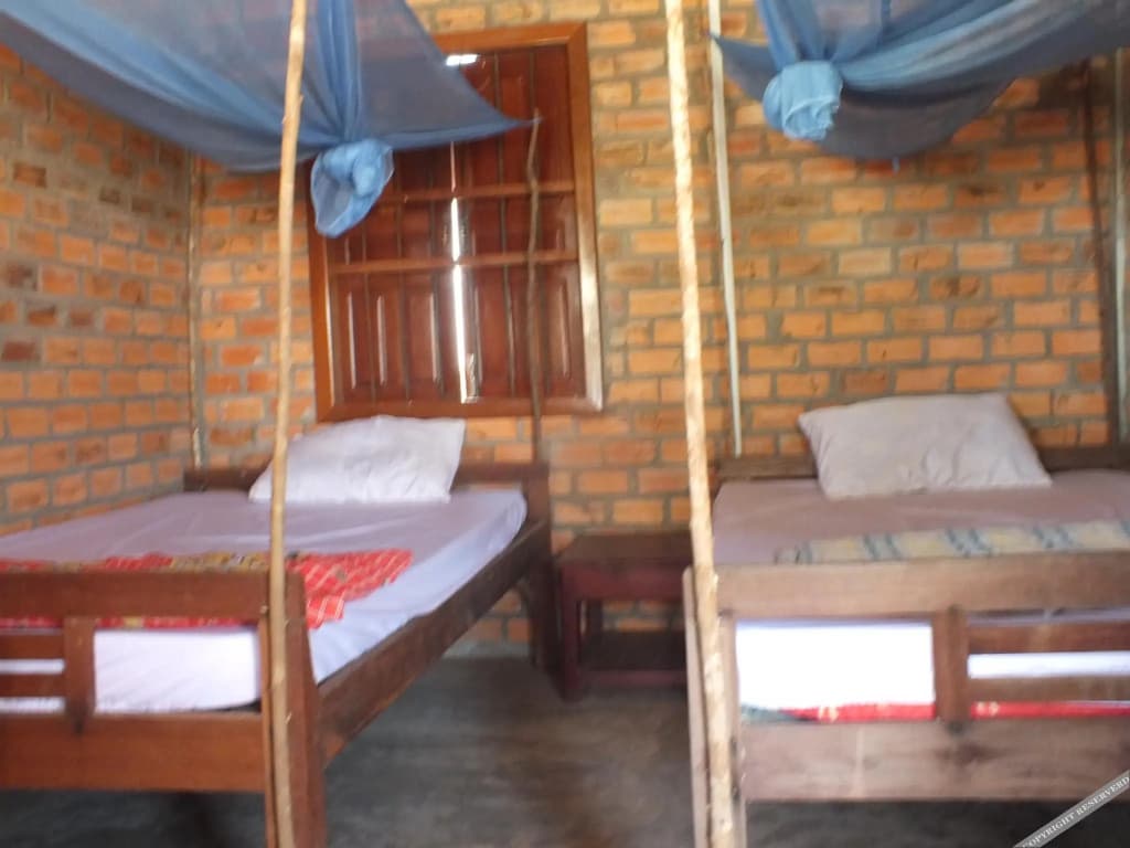 V-homestay - main photo