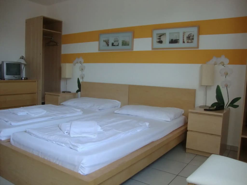 Lenas Donau - photo 4