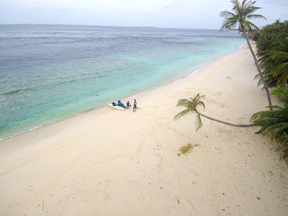 Holiday Nest - photo 7