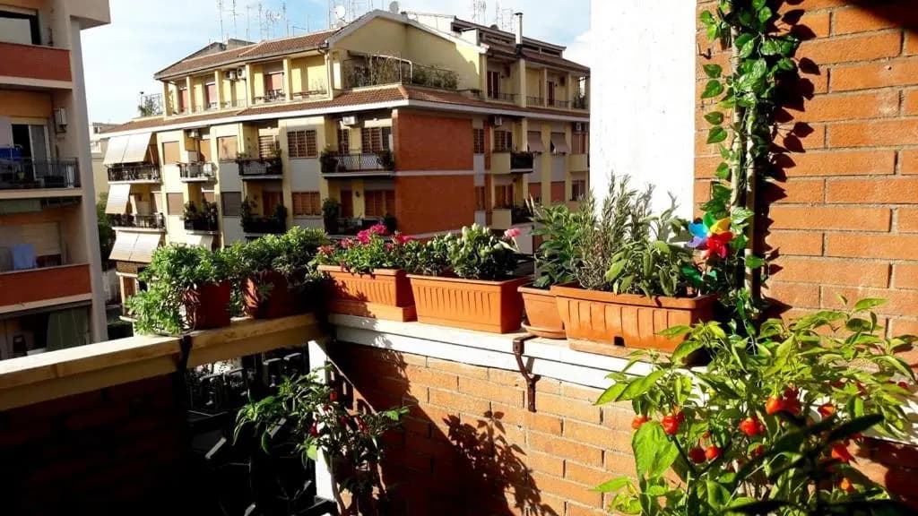 La casa di Egle 2020 - photo 1
