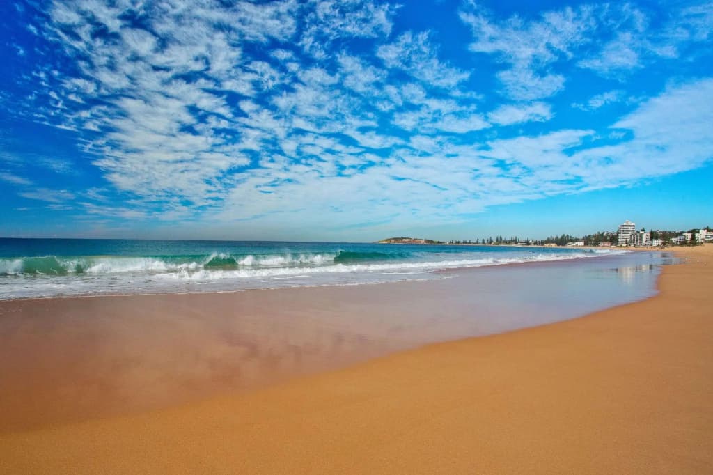 Nightelier Narrabeen - photo 17