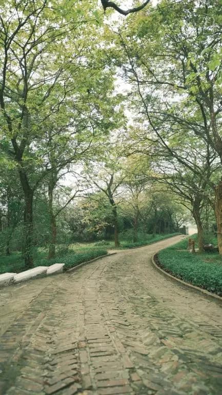 Yen Bai Resort - photo 14
