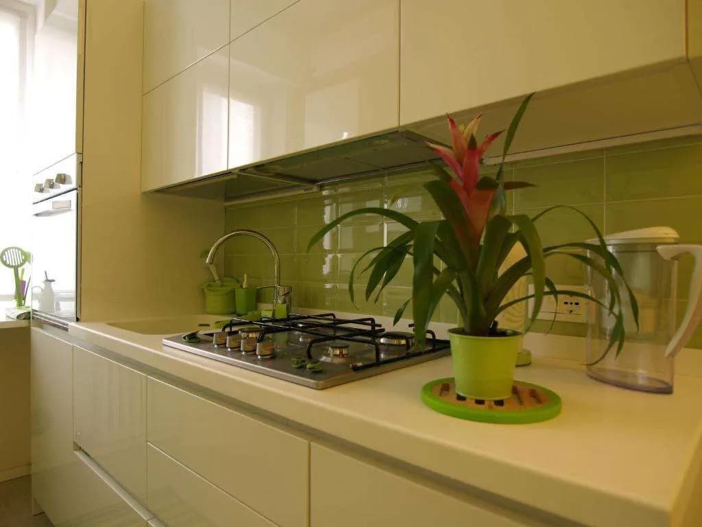 B&B Linea Verde - photo 11
