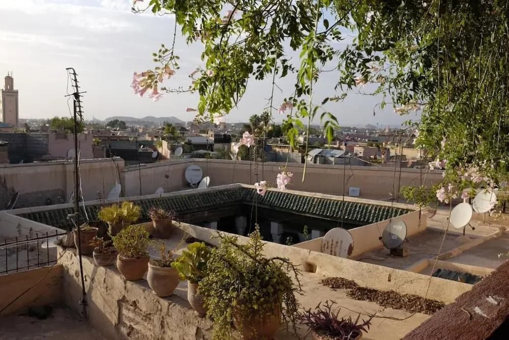 Riad Tazzori - photo 17