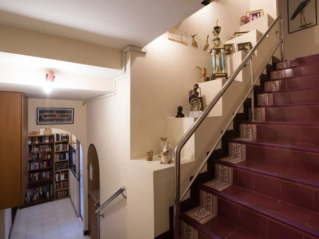 Stefans Guesthouse - photo 18