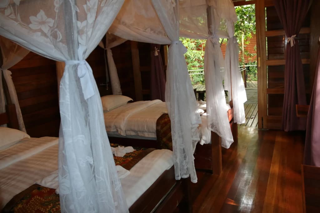 Borneo Natural Sukau Bilit Resort - photo 3