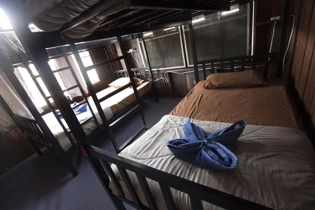 Champion Hostel - photo 7