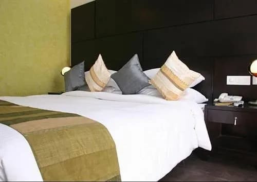 Dolphinn Grand - photo 5