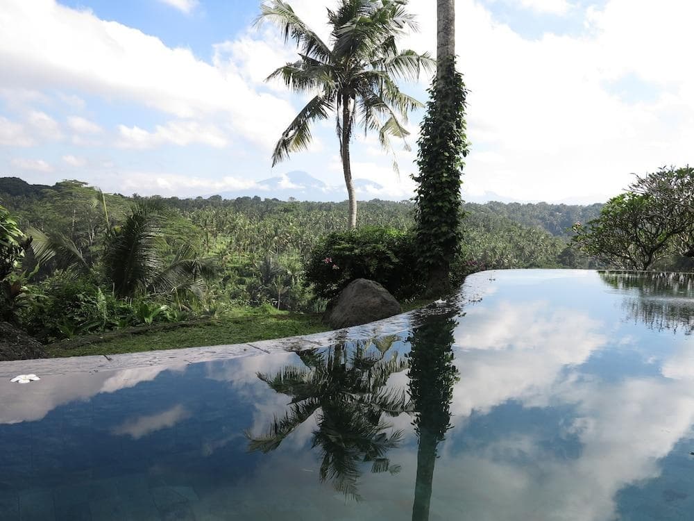Taman Bebek Resort & Spa - photo 17