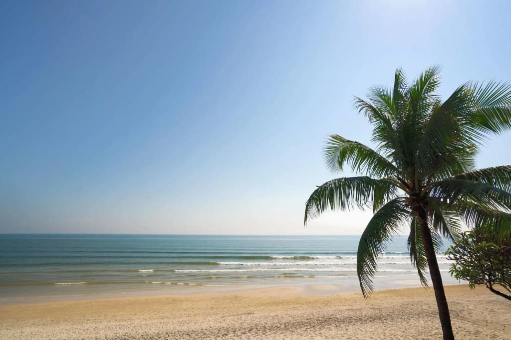 Hua Hin Marriott Resort & Spa - photo 21
