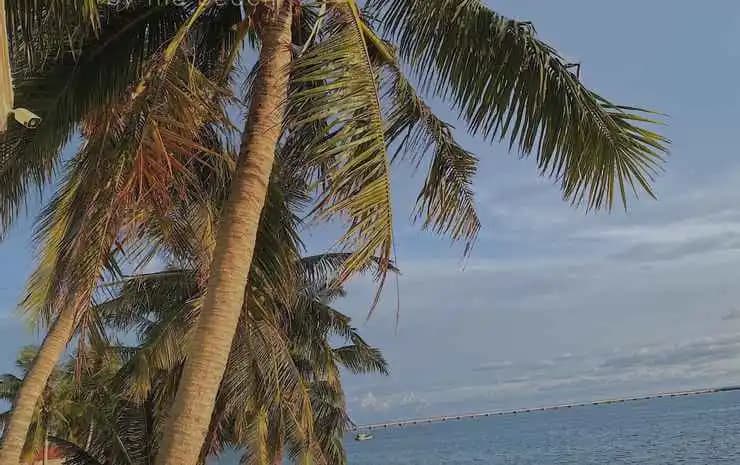 CHILL HOUSE by the beach - photo 12