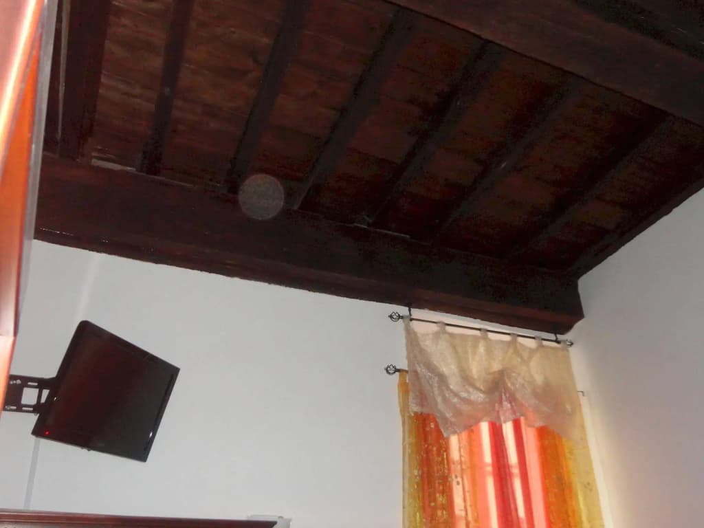Minihotel Azzurra - photo 4