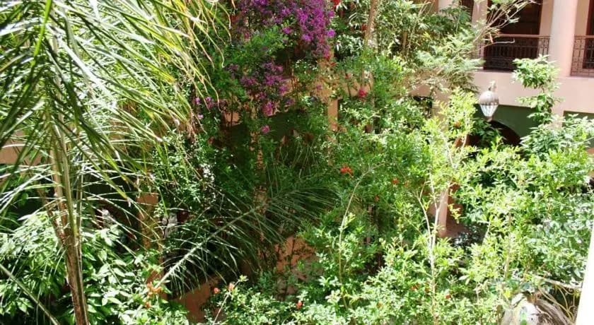Riad Zouina - photo 18