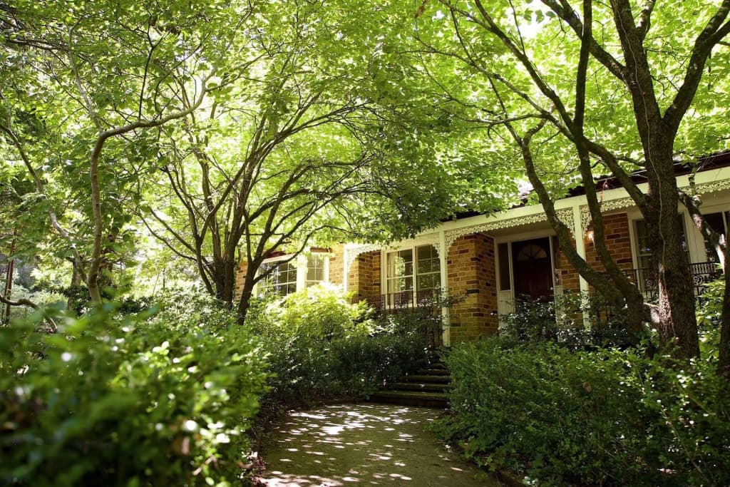 Leura Camellias - photo 7