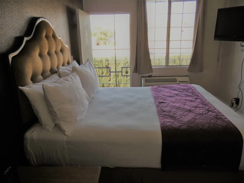 EC Motel - photo 4