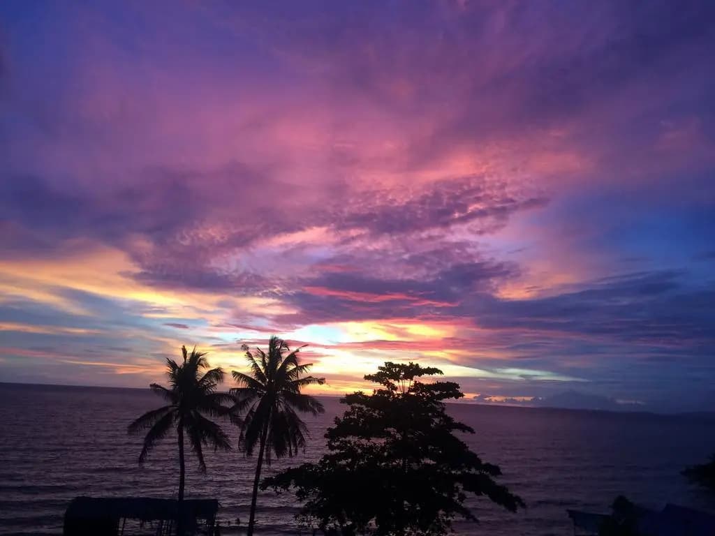 Dila Phu Quoc - photo 17