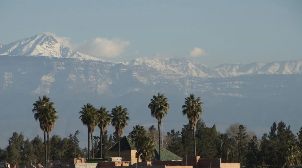 Riad Jonan - photo 25