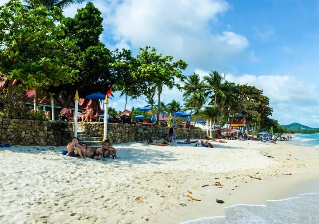 Chaweng Resort (SHA Extra Plus) - photo 19
