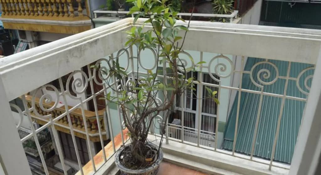 Hanoi Massive Hostel - photo 8