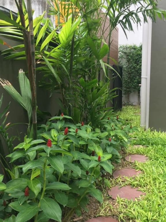 Tandeaw View (SHA Extra Plus) - photo 43
