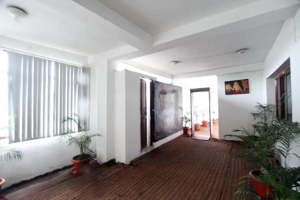 Hotel Malik Continental - photo 10