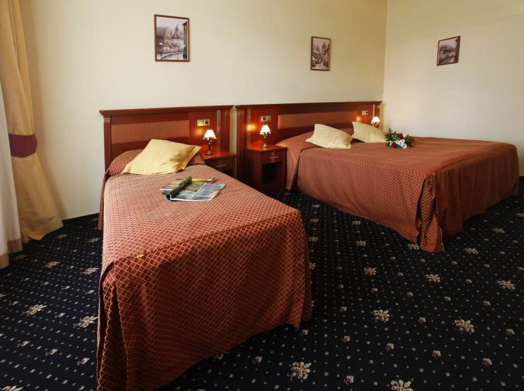 Hotel Aramis - photo 3