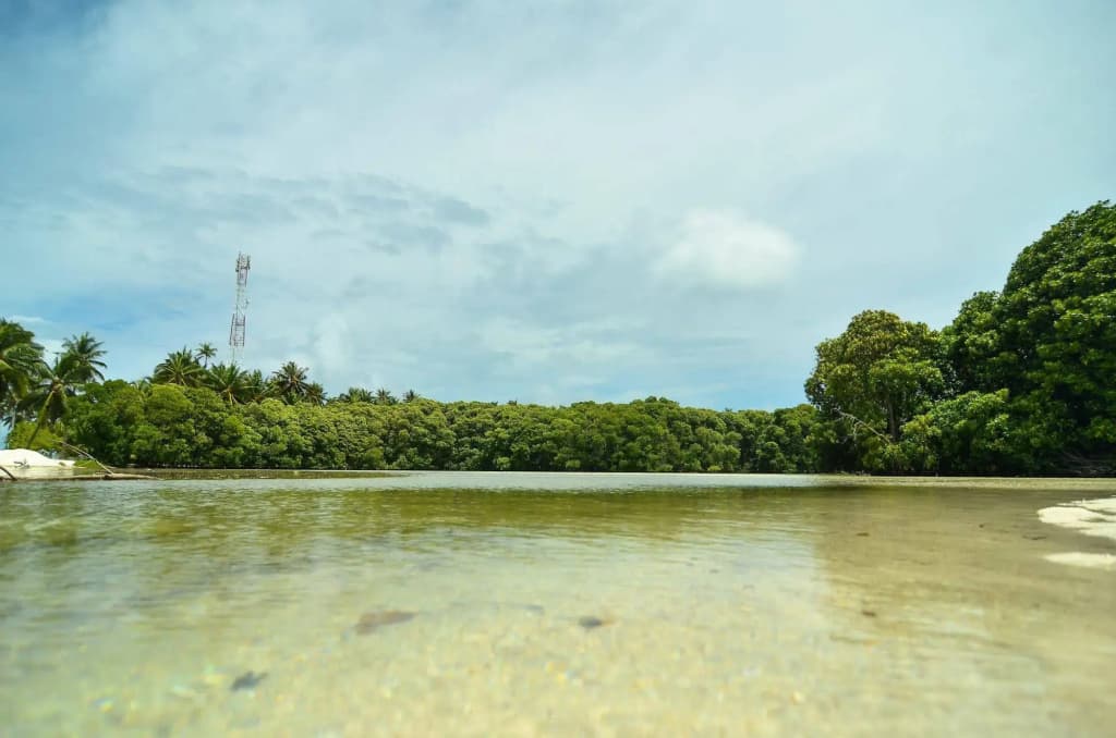 Huraa East Inn - photo 10