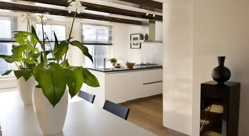 Dream House - photo 8
