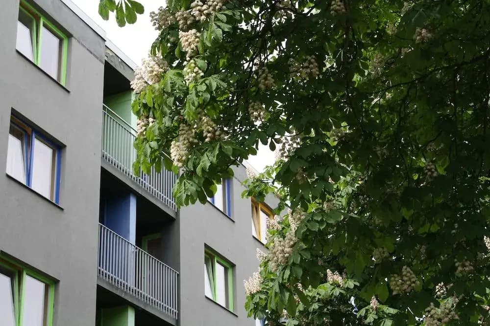 Jugendgästehaus Hauptbahnhof - photo 1