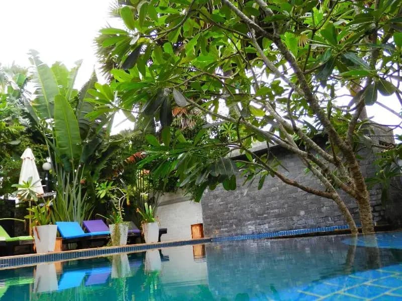 Haks House - photo 30
