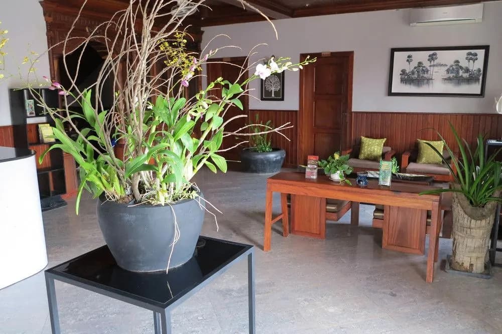 White Lotus Resort - photo 13